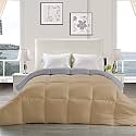 YRM - Hotel Quality Restful Sleep-Down Alternative Reversible 300 GSM All Season Comforter (60" x 90" Inches/152cm x 228cm) - Single Bed|Silver/Beige