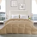 YRM - Hotel Quality Restful Sleep-Down Alternative 300 GSM All Season Comforter (92" x 106" Inches/233cm x 269cm) - King Size|Beige