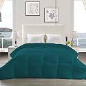 YRM - Hotel Quality Restful Sleep-Down Alternative 300 GSM All Season Comforter (60" x 90" Inches/152cm x 228cm) - Single Bed|Teal