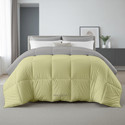 YRM Solid King Comforter for  Heavy Winter