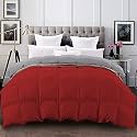 YRM - Ultra-Soft Quilted Reversible 400 GSM Comforter (60" x 90" Inches/152cm x 228cm) - Single Bed|Silver/Burgundy