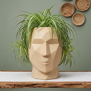 YUCCABE ITALIA Fox B FACE Planter Stylish