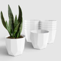 Yuccabe Italia SHERA Hexa 8 Inch Flower