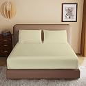 Soft Brushed Microfiber Double Bed (72" X 78") Inch Fitted Elastic Bedsheet + 1 Pillow Cover 300 TC for Luxurious Softness Upto 8" Thick Mettress|Ivory
