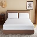 Soft Brushed Microfiber Queen Size (60" X 78") Inch Fitted Elastic Bedsheet + 1 Pillow Cover 300 TC for Luxurious Softness Upto 10" Thick Mettress|White