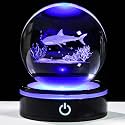 YWHL 3D Shark Figurine Crystal Ball with Colorful Light Base, Shark Gifts for Women Men Shark Lovers on Christmas Birthday, 3D Laser Engraved Shark Sphere Glass Ball for Home Office Decoration (80mm)