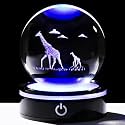 YWHL Giraffe Gifts for Women Men, 3D Giraffe Figurine Crystal Ball Decor