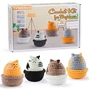 YWQZBHEMO DIY This All in One Crochet Set for Beginners Women, Includes Enough Yarn, Hook, Step-by-Step Video Tutorials for Adult Starters