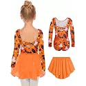 Zaclotre Girls Ballet Leotards Toddler Dance Dress Outfit with Skirt Combo