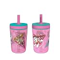 Zak Designs Kelso 15 oz Tumbler Set (Paw Patrol Skye & Everest) Leak-Proof Screw-On Lid with Straw Made of Durable Plastic and Silicone, Perfect Cup Bundle for Toddlers, Kids (2pc Set) (Pack of 12)