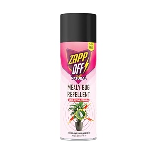 multipurpose pest repellent aerosol spray  all-in-one insect repellent spray  cockroach lizard ant termite bed bugs fly centipede  100 natural  only repel39s  easy to use 220ml