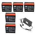 Zarko 5 Pack 6-DZM-20 12V 24Ah SLA Battery for 60V Razor MX650 Dirt Quad Electric Golf Cart Go Kart Mobility Scooter Power Chair Lawn Mower Replacement Max Range