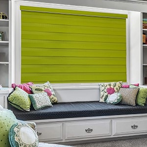 Zebra Blind for Windows Dual Layer Zebra