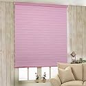ZEBRA BLINDS Nylon for Windows Dual Layer Roller Shades Light Filtering Rod pocket Solid Sheer Window Treatments Privacy Light Control for Day and Night, Color PINK, W120XH160CM
