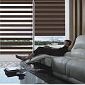 Zebra Blinds/Roller Blinds for Windows Home Décor Windows Zebra Blinds for Window Roller Blinds Room Darkening Roller Blinds for Home, Office (W100 XH160CM, Coffee)