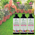 Zeenny Flora Pack Of 3, Plant Boost Liquid Bio-fertilizer For All Type Flower Plant Growth Fertilizer (50 ml, Liquid)