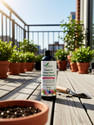 Zeenny Flora Pack Of 5, Plant Booster Liquid Organic Fertilizer, For Flower Plants Growth Fertilizer