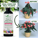 Zeenny Flora Plant Growth Supplementary, Organic Liquid Fertilizer For Flowering Plant Fertilizer (50 ml, Liquid)