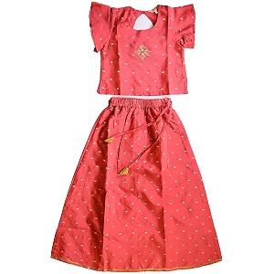 Zemyra girls Lehenga Choli