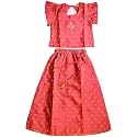 Zemyra girls Lehenga Choli