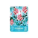 Zen Sangam A5 Gouache Paper Polaroid Sheets | 300 GSM Cold Pressed 100% Cellulose | 24 Sheets Size(21 x 14.8cm) | Round Corner, Rough Grain | for Gouache, Acrylic, Ink, Tempera &amp; Mixed Media Art