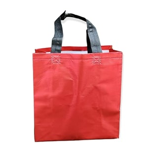 zeonely mart thamboolam bags wedding return gifts bags mixed colour12 l x 13 h x 4 w inch - 10 pcs medium