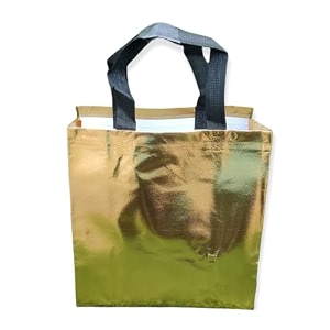 zeonely mart thamboolam bags wedding return gifts bags mixed colour12 l x 13 h x 4 w inch - 10 pcs medium