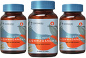 ZEROHARM Holistic Ashwagandha - Nano Formulated for