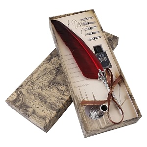 zerone english calligraphy feather dip quill pen writing ink set stationery gift box with 5 nibsred