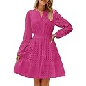 ZESICA Womens Fall Long Sleeve Eyelet Embroidery Mini Dress