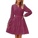ZESICA Womens Fall Long Sleeve Eyelet Embroidery Mini Dress