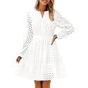 ZESICA Womens Fall Long Sleeve Eyelet Embroidery Mini Dress