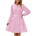 ZESICA Womens Fall Long Sleeve Eyelet Embroidery Mini Dress