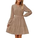 ZESICA Womens Fall Long Sleeve Eyelet Embroidery Mini Dress