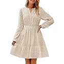 ZESICA Womens Fall Long Sleeve Eyelet Embroidery Mini Dress