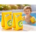 Zest 4 Toyz Swimming Arm Bands for