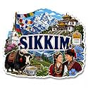 Zesta Wooden Fridge Magnets Set Refrigerator
