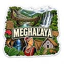 Zesta Wooden Fridge Magnets Set Refrigerator