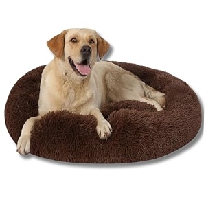 zexsazone comfortable durable both sides usable and washable pet bed  cat bed  puppy bed  dog bed  medium dog bed for cats puppies labrador german shepherd medium size pets