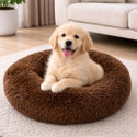 Zexsazone Pet Bed for Cats and Puppies