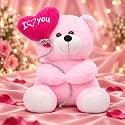 ZEXSAZONE Teddy Bear Soft Toy 24 CM with I Love You Heart Balloon, Cute Pink Plush Teddy for Girls, Kids &amp; Adults, Romantic Gift for Girlfriend, Wife, Birthday, Anniversary &amp; Valentine’s Day