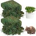 Zeyune 56.4 oz Large Capacity Fake Artificial Moss for Crafts Outdoor Faux Potted Plants DIY Decor Fresh Green Preserved Moss Garden Wedding Party Floral Indoor Table Terrarium Arts Centerpieces