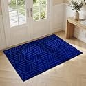 ZGR Dog Door Mat 2 ft x 34 ft, Front Doormat Indoor Outdoor Entrance, Super Absorbent Heavy-Duty Doormats, Traps Dirt &amp; Moisture, Non-Slip Low Profile Entryway Mat, Blue