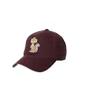 ZHATS NCAA Mens Adjustable Scholarship Vault Hat