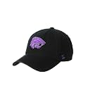 ZHATS NCAA Mens Adjustable Scholarship Vault Hat