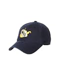ZHATS NCAA Mens Adjustable Scholarship Vault Hat