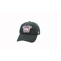 ZHATS NCAA Mens Adjustable Scholarship Vault Hat