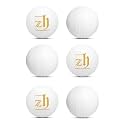 Cricket Plastic Training Balls White (100 Gm Per Ball) (Pack of 6)