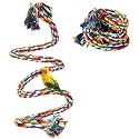 ZIBUYU® Birds & Parrot Toy - Rope Perch, Swing & Bungee Climbing Set