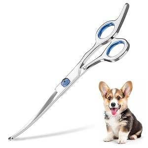 zibuyu dog grooming scissors for shih tzu 6 inch round tip